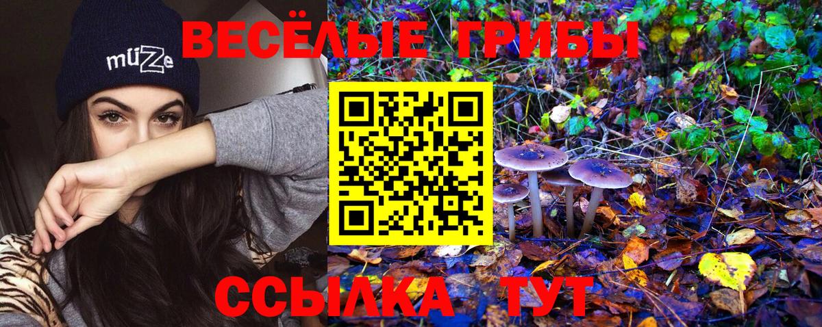 Галлюциногенные грибы MAGIC MUSHROOMS  Псилоцибиновые грибы мицелий  Вход с VPN  Камышлов 