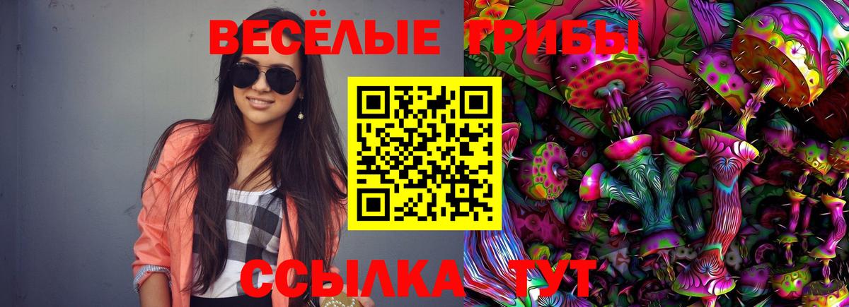 Галлюциногенные грибы Magic Shrooms Камышлов
